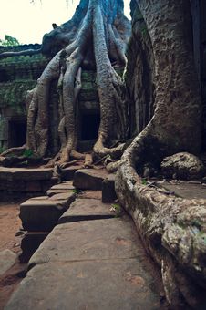 Angkor Wat Stock Photos Angkor Wat Stock Photos
