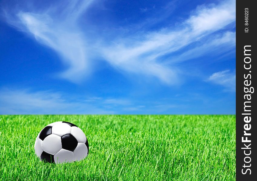 Football ball on the grass field. Football ball on the grass field