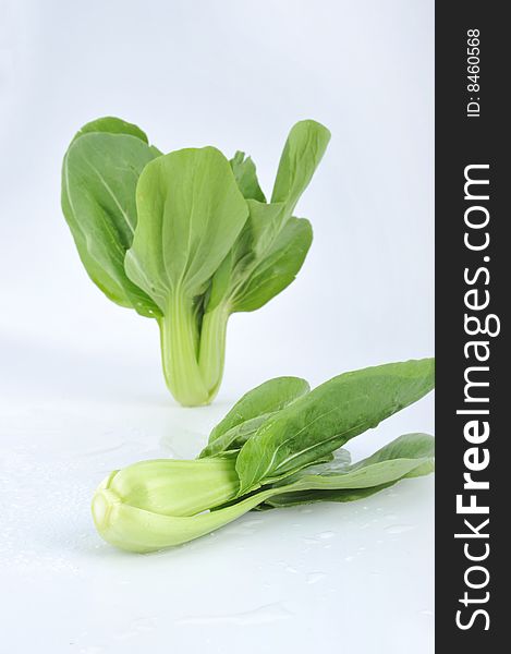 green leaf vegetable Bok Choy