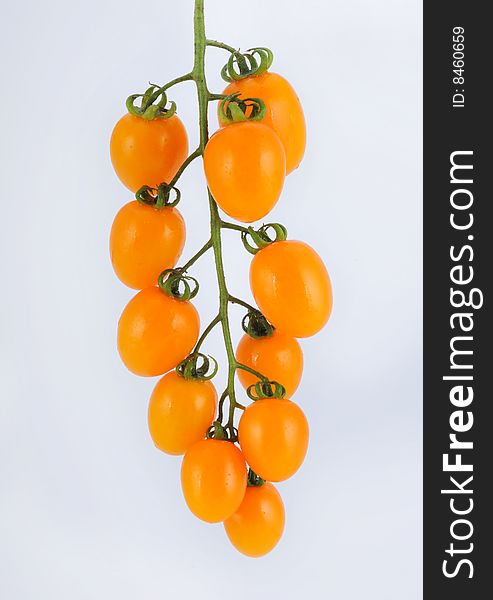 Yellow small tomatoes on a white background. Yellow small tomatoes on a white background