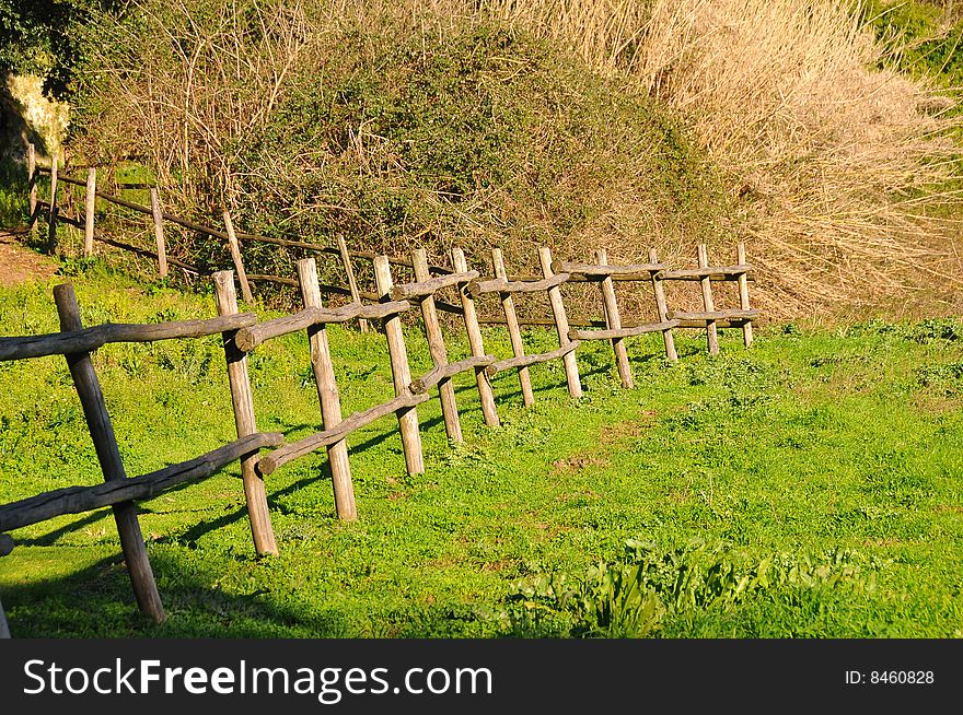 A fence in a sunny countryside. A fence in a sunny countryside