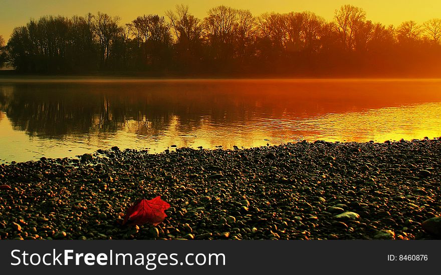 Early in the morning I find this leaf on the riverbank.