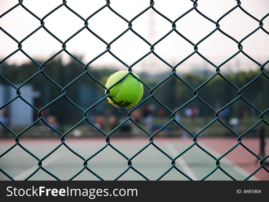 View of the Tennis Court. View of the Tennis Court