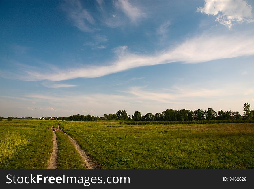 Blue sky and green grass in the poland. Blue sky and green grass in the poland