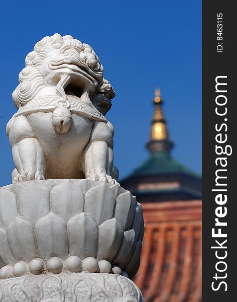 Stone Lion in front of a temple