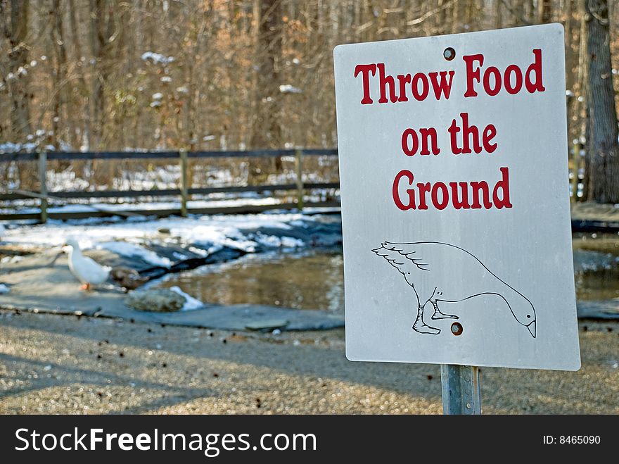 Duck and Geese Feeding Sign