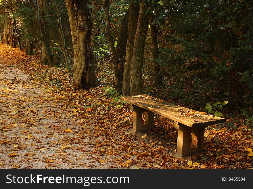 Beautiful bench in Buchlovice park