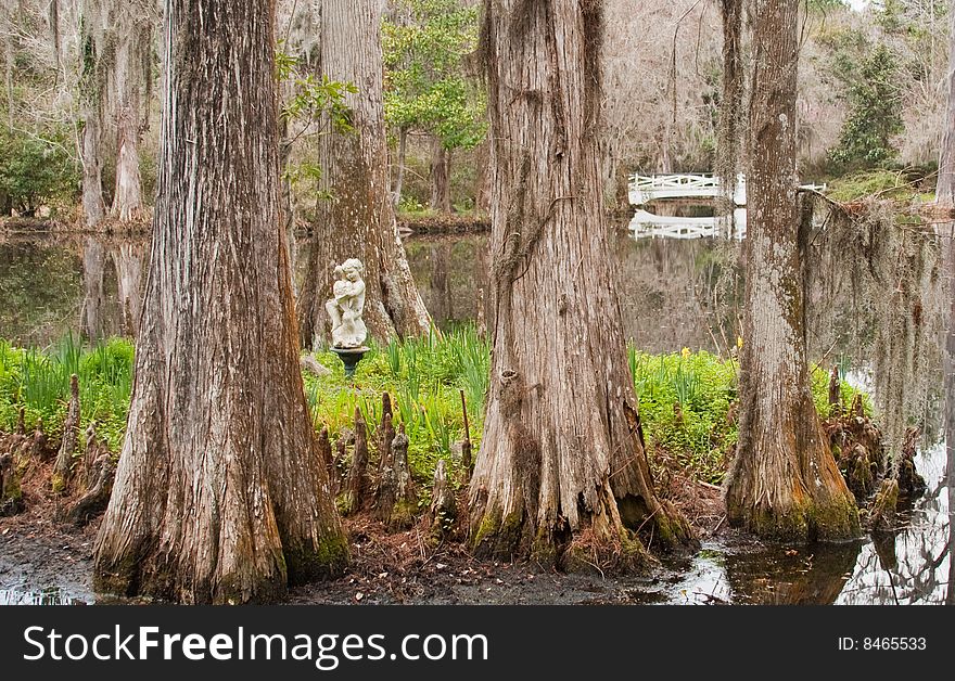 Swamp Garden