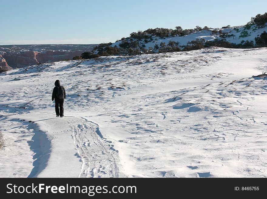 Young trekker walking in the snow trail, Arizona (USA). Young trekker walking in the snow trail, Arizona (USA)