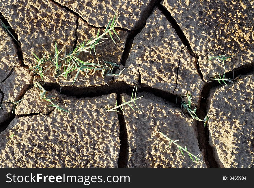 Craked mud by drought and strands