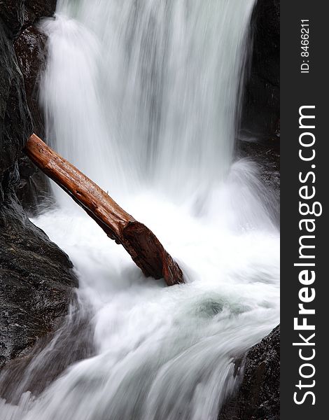 Closeup Of Tree Stuck In Waterfall