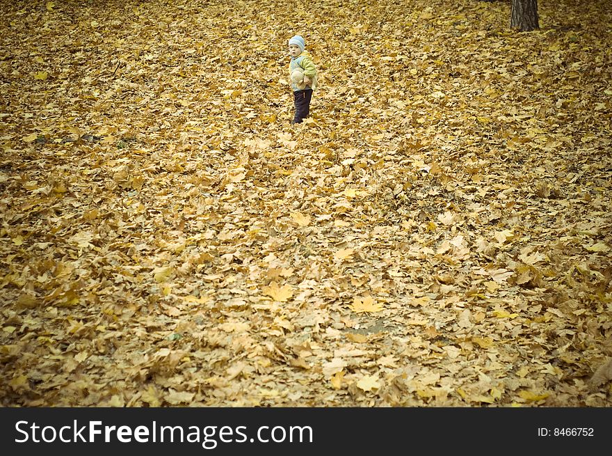 Little boy in the park among the leaves