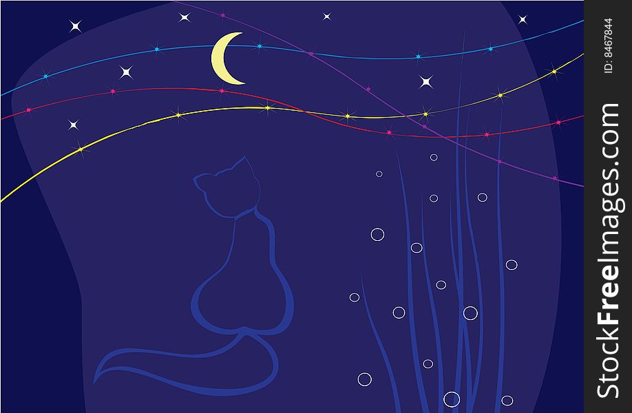 Starry sky cat moon night. Starry sky cat moon night