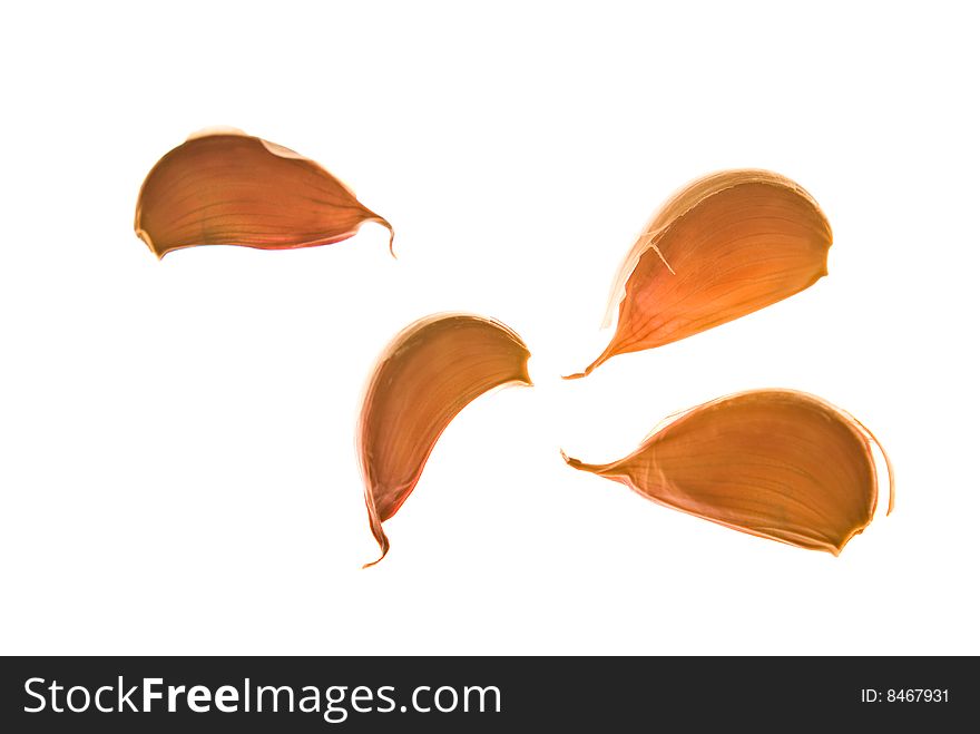 Four pieces of garlic in their skins isolated on white. Four pieces of garlic in their skins isolated on white