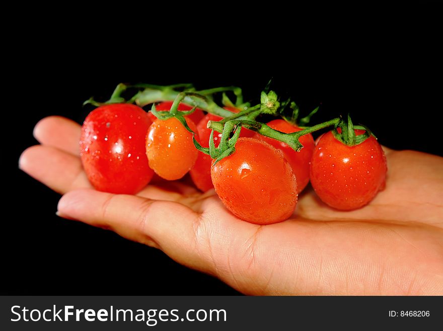 Close up capture red tomato on hand. Close up capture red tomato on hand