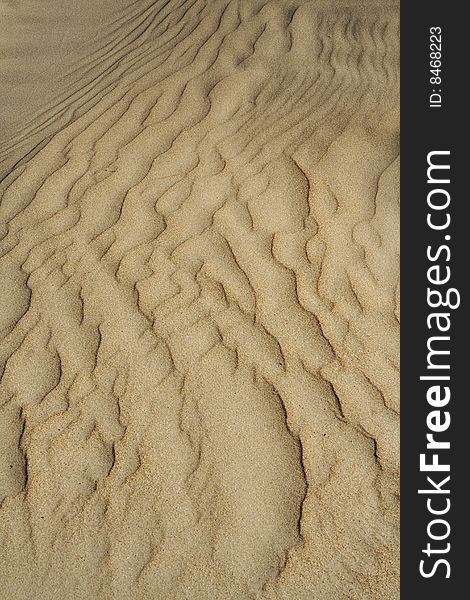 A wavy sand-dune background somewhere in the desert