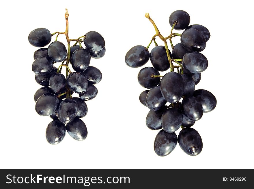 Collection clusters of blue grape isolated on white background. Collection clusters of blue grape isolated on white background