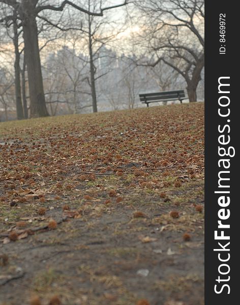 A walk in the park, park bench