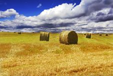 Haystacks On Yellow Field Royalty Free Stock Photos Haystacks On Yellow Field Royalty Free Stock Photos