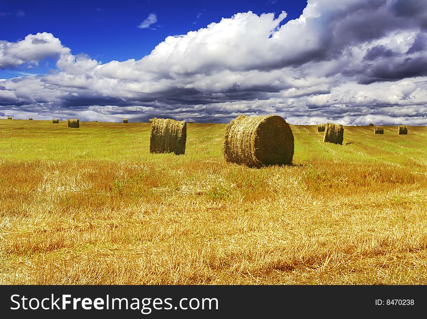 Haystacks on yellow field