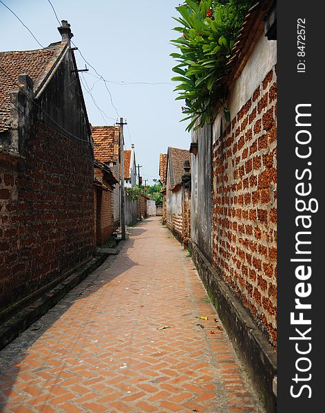 Small lane in a Vietnamese village