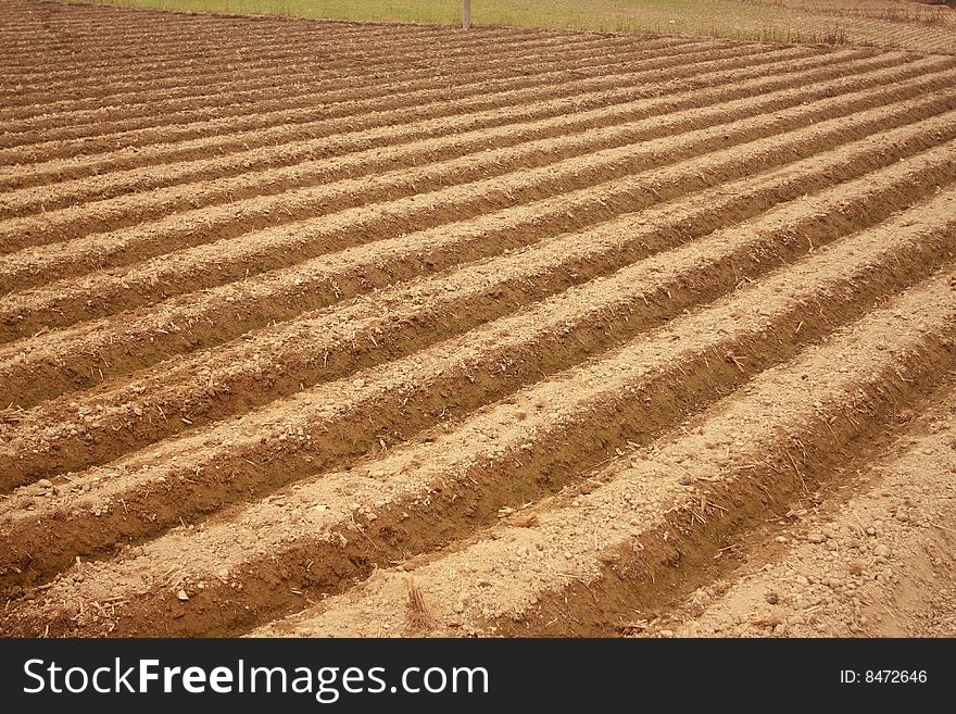 Sementera in spring. farmers working here. Sementera in spring. farmers working here.