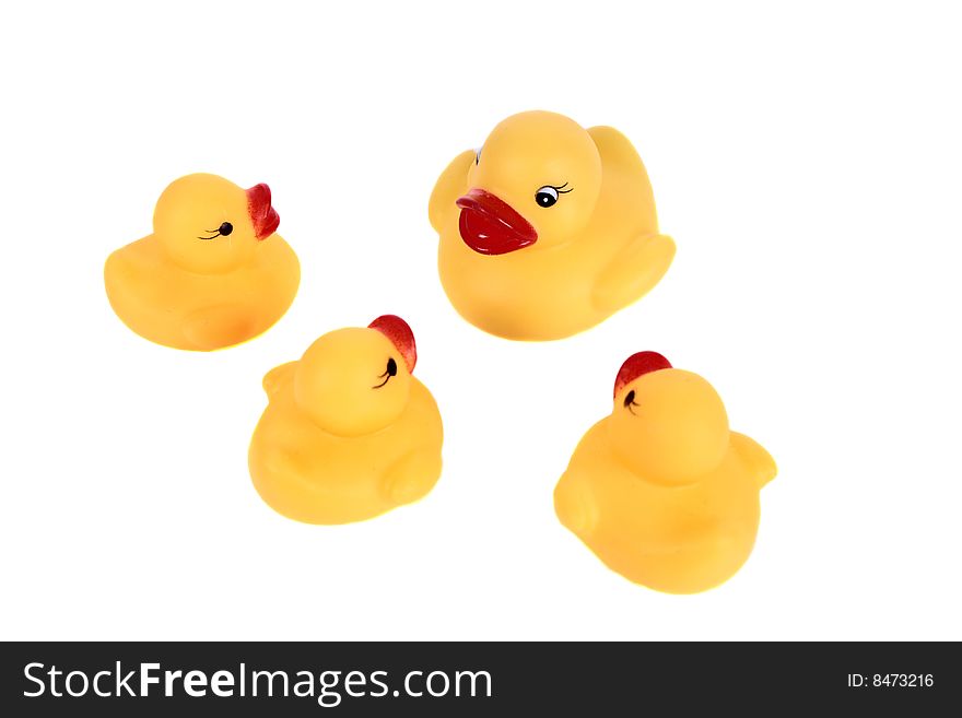Four rubber ducks isolated on white