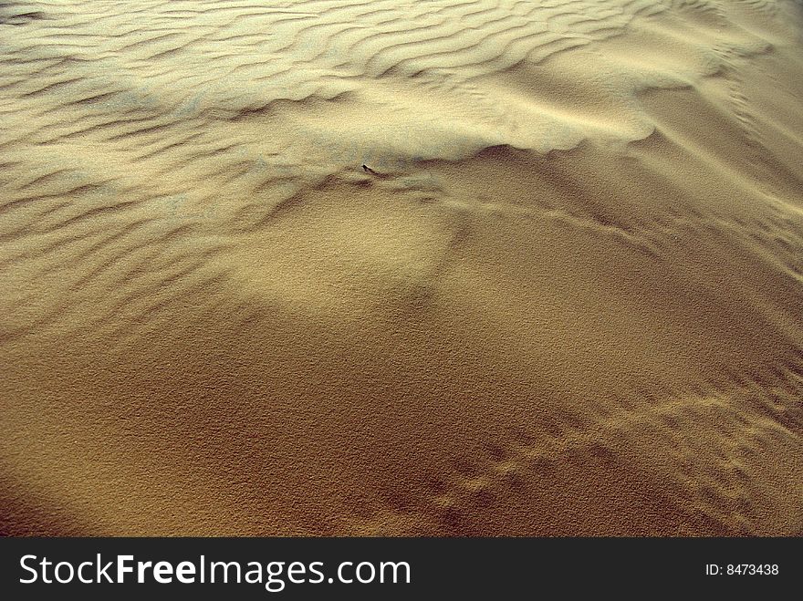 Wind patterns in the sand dunes