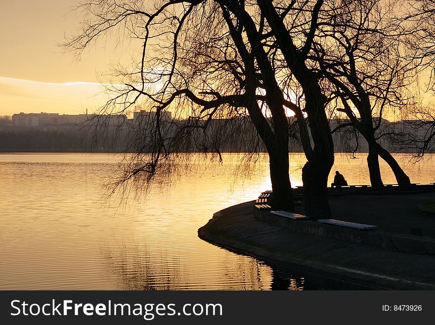 The person has a rest under a tree on the bank of lake. The person has a rest under a tree on the bank of lake