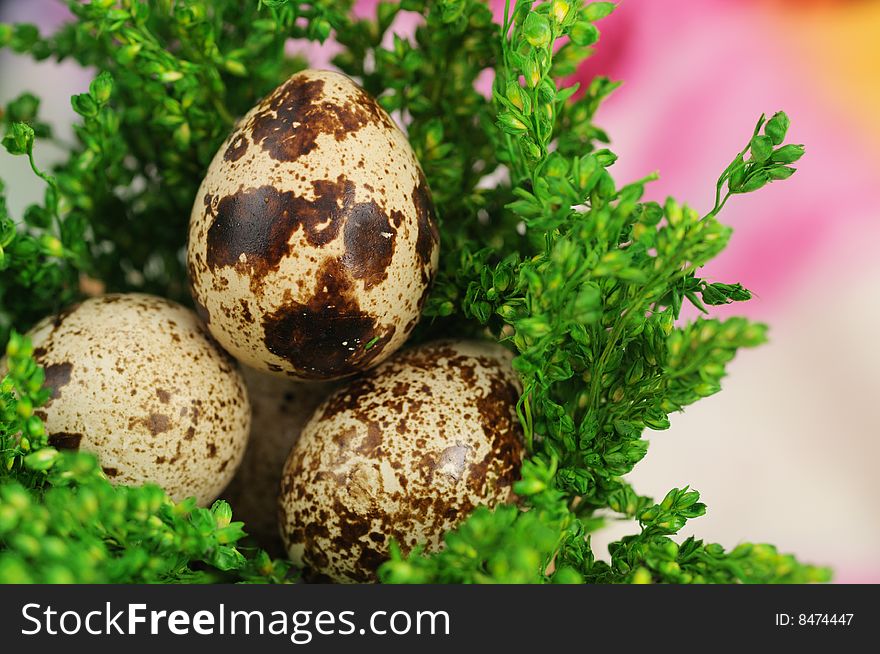 Easter eggs in nest with background