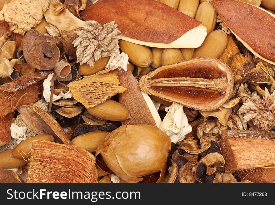 Dried plants and seeds - natural background
