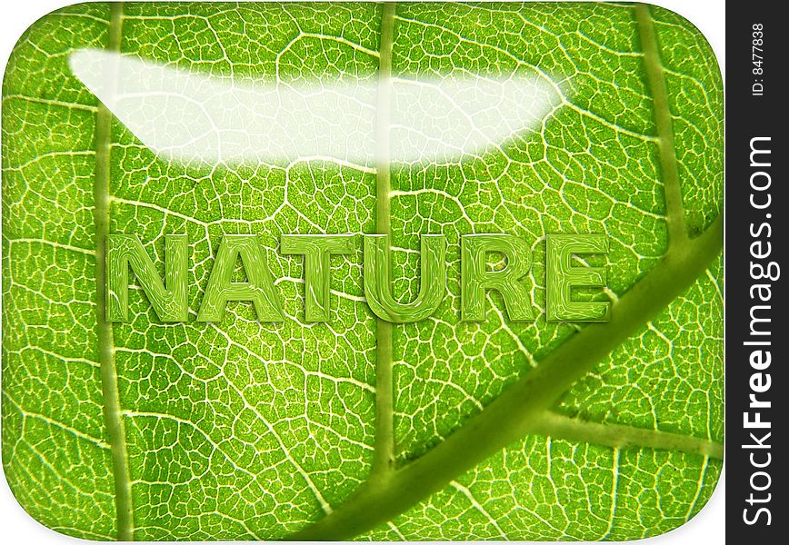 Glossy shiny leaf nature graphic with leaf image distorted through text. Glossy shiny leaf nature graphic with leaf image distorted through text