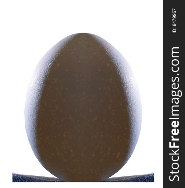 Egg