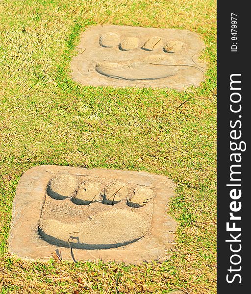 Footprints on green grass looking beautiful.