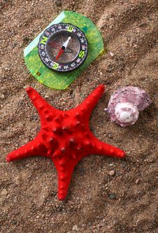 Compass And Seashells Royalty Free Stock Photography