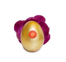 Easter Golden Egg Inside A Tulip Flower Royalty Free Stock Image Easter Golden Egg Inside A Tulip Flower Royalty Free Stock Image