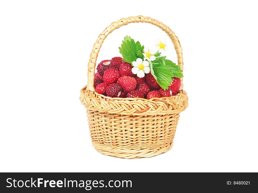 Wild strawberry in a basket isolated on white. Wild strawberry in a basket isolated on white.