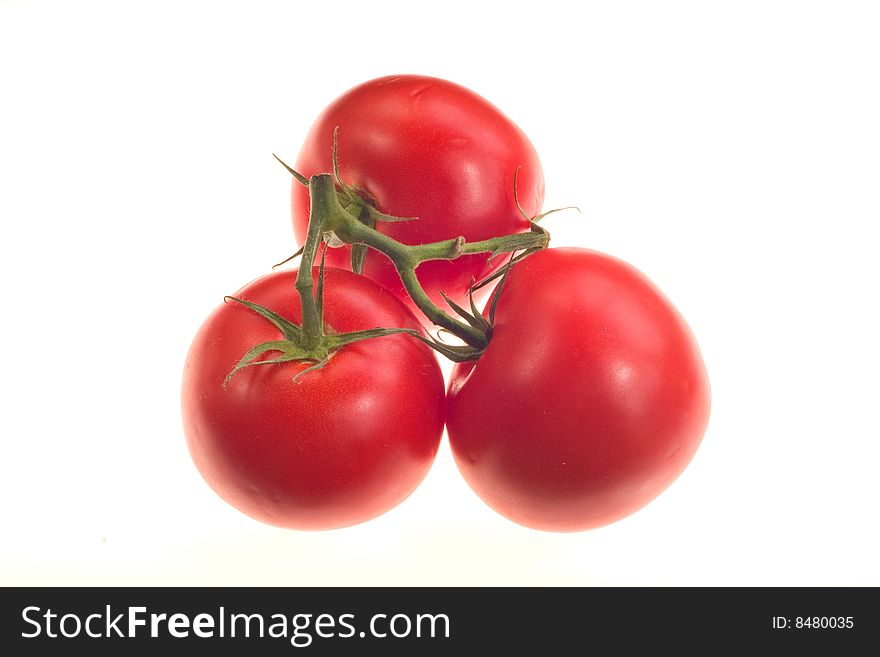 Detail of a branch with three tomatoes