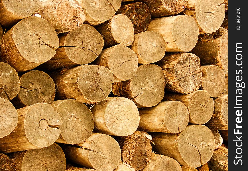 Trunks Of Trees In A Stack