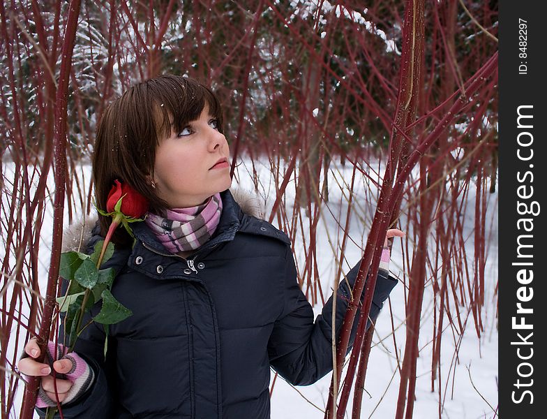 Girl in The Red winter Forest with rose. Girl in The Red winter Forest with rose