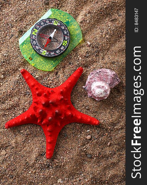 Compass, red starfish and sea shell on sand. Compass, red starfish and sea shell on sand