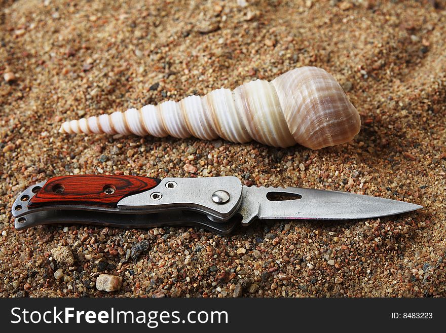 Sharp pocket knife and seashell on sand