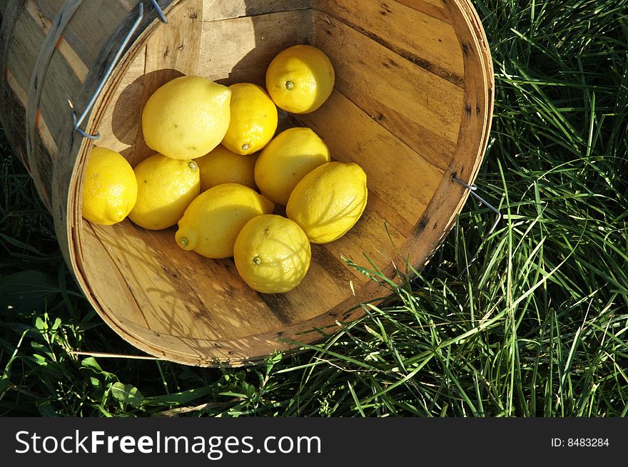 Ripe Lemons in Bushel on grass