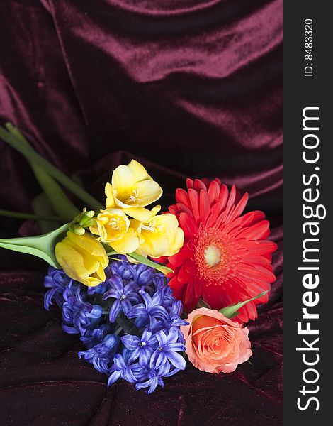 Vivid colored flowers bunch on velvet