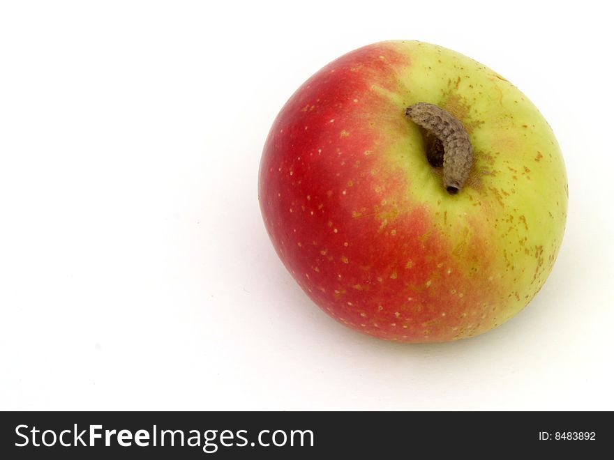 Lady apple with caterpillar, isolated