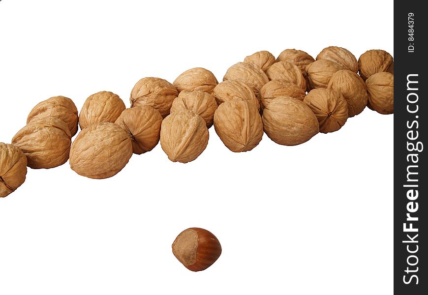 Row of Walnuts with Filbert in Front. Row of Walnuts with Filbert in Front.