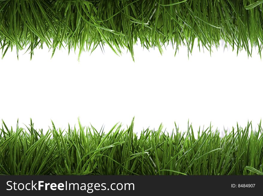 Frame Background With Green Grass