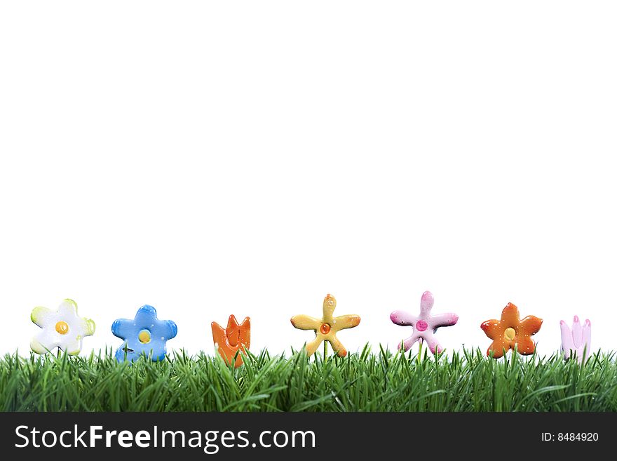 Small colorful flowers in grass isolated on white background - easter and spring concept