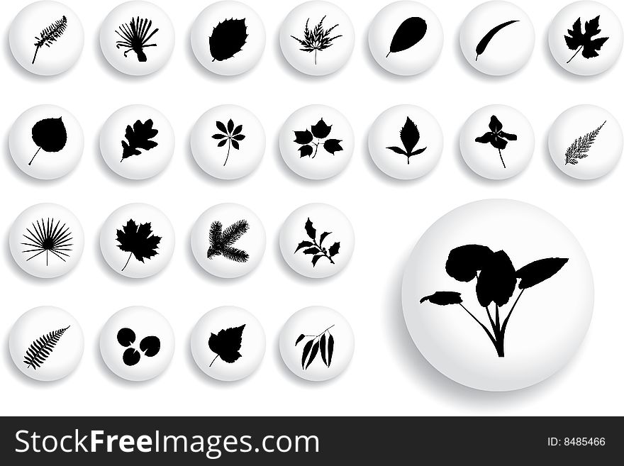 Big set buttons - 17_B. Leaves. Pictures of leaves different plants and trees for your design