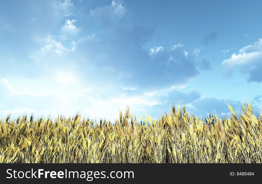 Wheat field in the sunset. 3d image